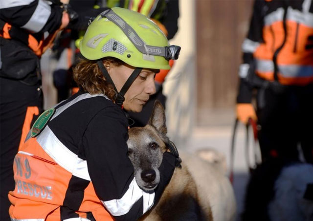 Volontari con i cani nel terremoto del centro Italia